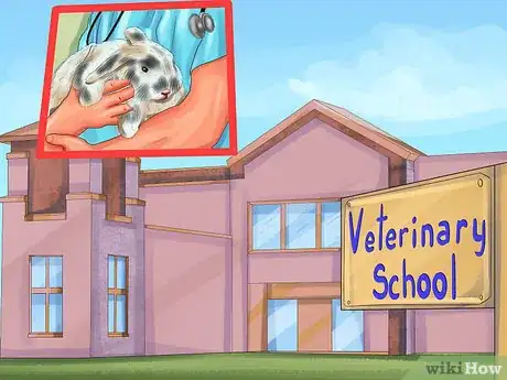 Image titled Save Money on Rabbit Care Step 9