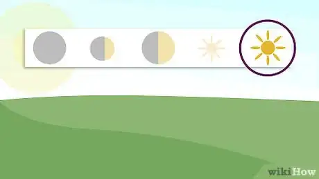 Image titled Plant Oxalis Step 9