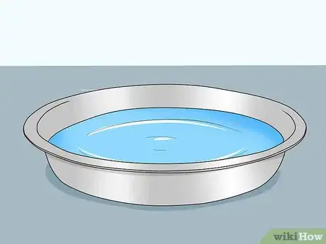 Image titled Entertain a Quaker Parrot Step 5