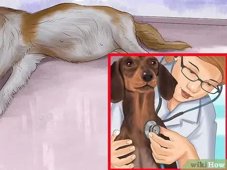 Image titled Know if Your Dog Needs a Diet Change Step 7