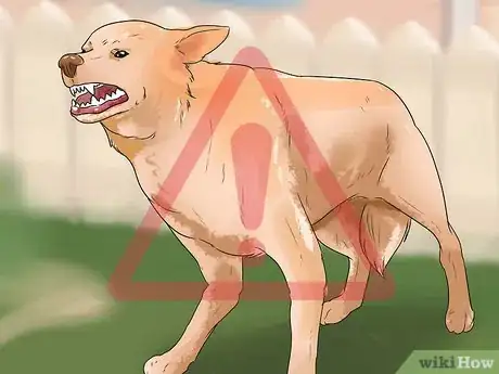 Image titled Tell if a Dog Is Getting Food Aggression Step 2