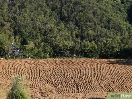 Image titled Plant a Cut Flower Garden Step 4