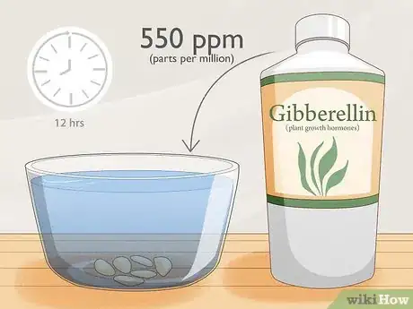 Image titled Grow Garcinia Cambogia Fruit Step 2