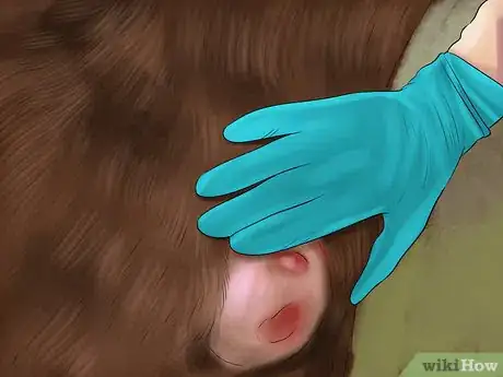 Image titled Treat External Horse Parasites Step 4