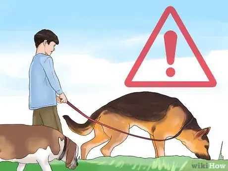 Image titled Socialize a New Dog with Your Family Step 7