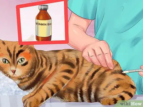 Image titled Treat Feline Intestinal Lymphoma Step 12