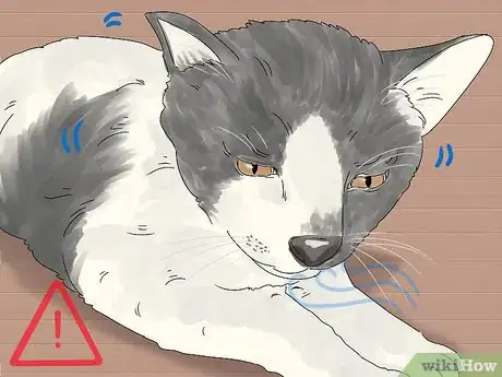 Image titled Handle Mothball Poisoning in Cats Step 4