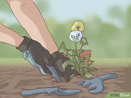 Image titled Find Physically Active Social Opportunities Step 16