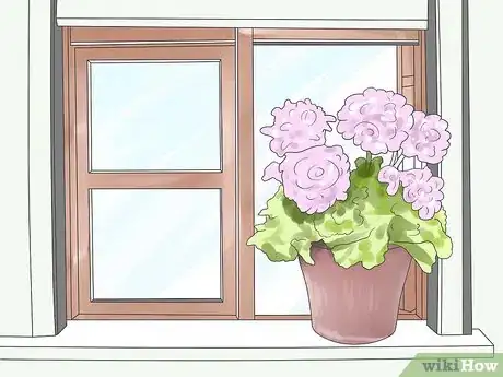 Image titled Care for Geraniums in Winter Step 5