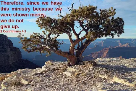 Image titled 2 Corinthians 4v1.png