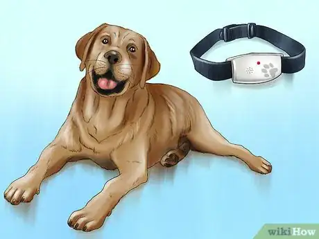 Image titled Keep Ticks from Your Dogs Step 1