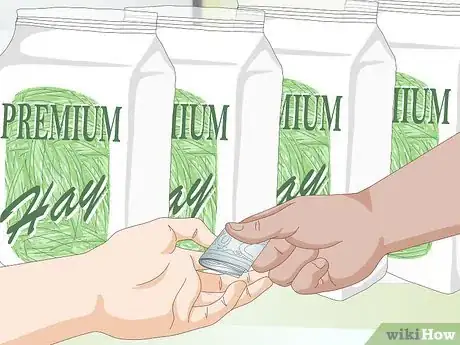 Image titled Feed a Guinea Pig a Well Balanced Meal Step 4