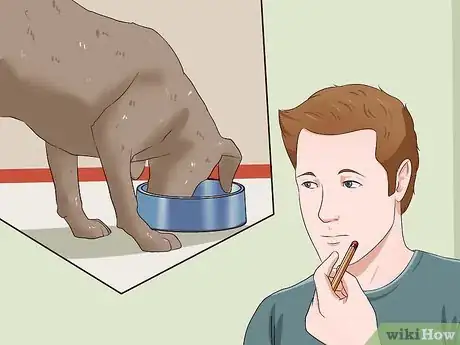 Image titled Diagnose and Treat Your Dog's Itchy Skin Problems Step 20