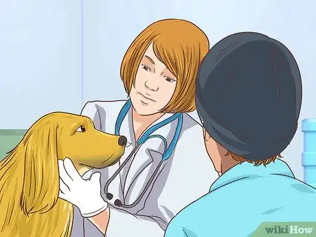 Image titled Prevent Older Dogs from Creating Lick or Scratch Sores Step 14