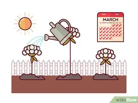 Image titled Grow Toothpick Weed Step 5