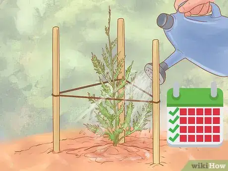 Image titled Plant Leyland Cypress Step 19