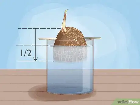 Image titled Regrow Vegetables Step 16