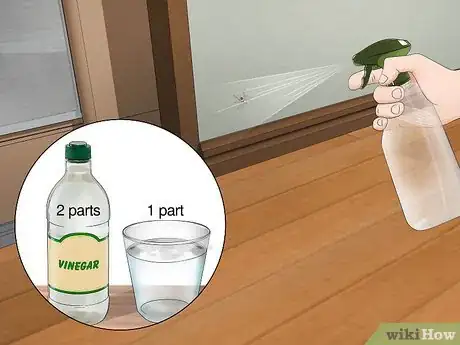 Image titled Get Rid of Spiders Outside Your Door Step 8