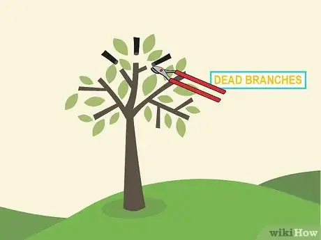 Image titled Prune an Avocado Tree Step 12