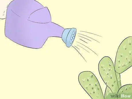 Image titled Grow Cactus in Containers Step 11
