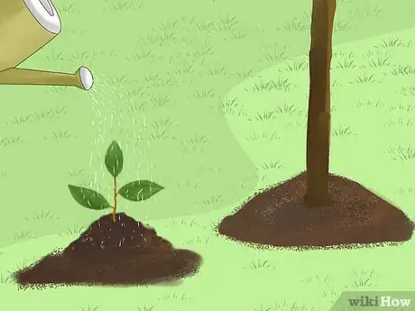 Image titled Grow a Bed Head Garden Step 14