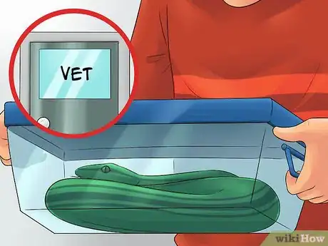 Image titled Care for a Shedding Snake Step 12