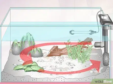 Image titled Keep Crystal Red Shrimp Step 6