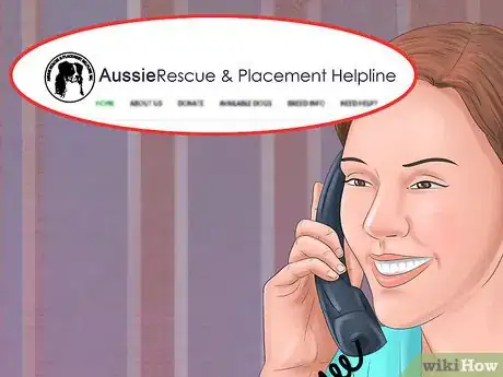 Image titled Find and Care for a Australian Shepherd Step 1