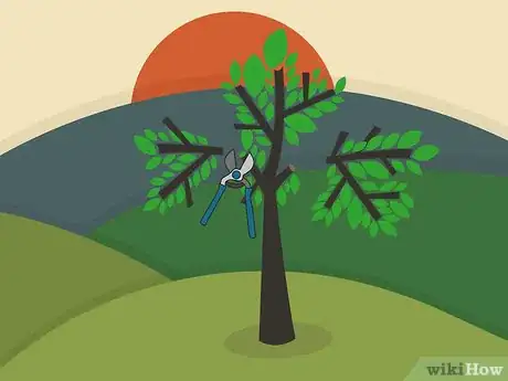 Image titled Prune Walnut Trees Step 02