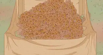 Prepare Hydrangeas for Winter