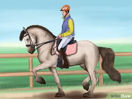 Image titled Teach Your Horse to Piaffe Step 1