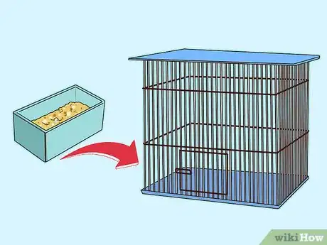 Image titled Entertain a Quaker Parrot Step 4