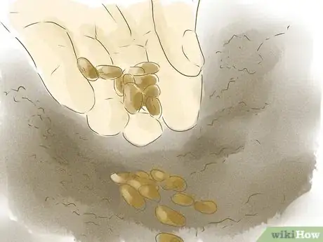Image titled Grow Plants from Seed Step 5Bullet1