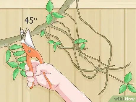 Image titled Prune Gate Vines Step 4