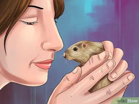 Image titled Treat Gerbils Prone to Seizure Step 2