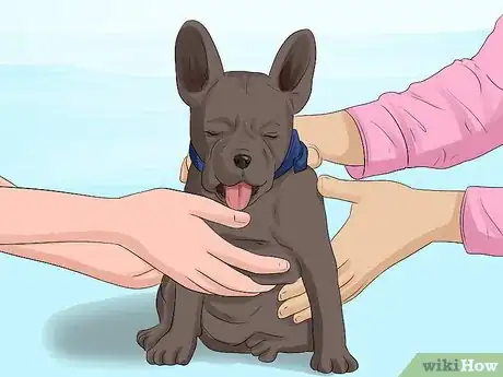 Image titled Decide Who Gets the Pet in a Divorce Step 2