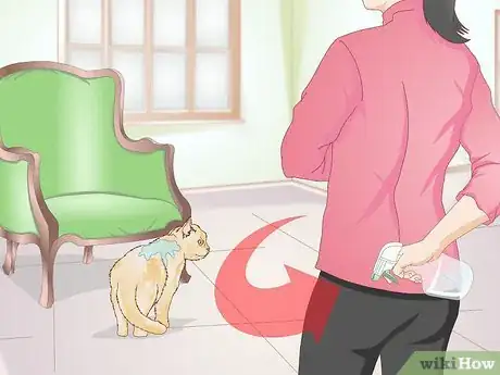 Image titled Use a Spray Bottle on a Cat for Training Step 4