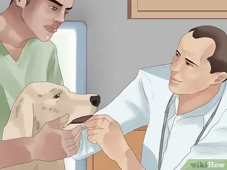 Image titled Treat Dog Anxiety with Pheromone Therapy Step 9