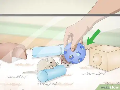 Image titled Spoil Your Gerbils Step 13