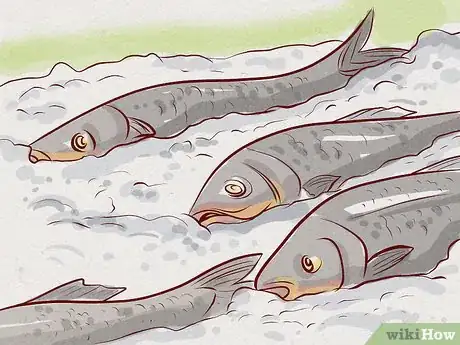 Image titled Safely Eat Sushi Step 3