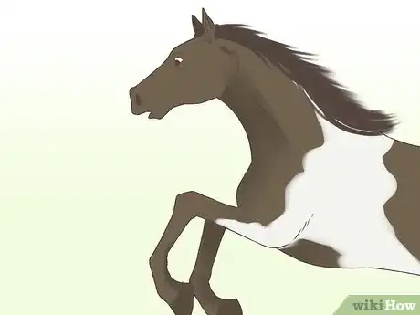 Image titled Get a Horse Fit Step 14