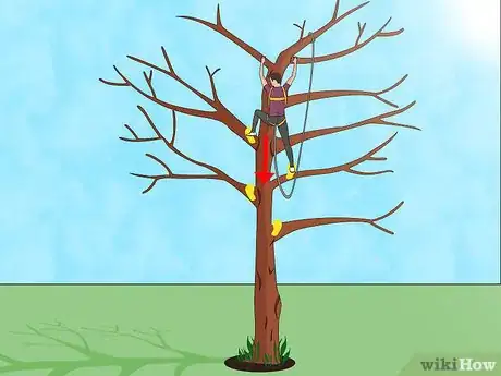 Image titled Climb a Tree Quickly Step 11