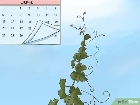 Image titled Prune Grape Vines Step 23