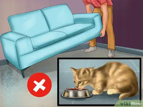 Image titled Deal with Cognitive Disorders in Cats Step 12