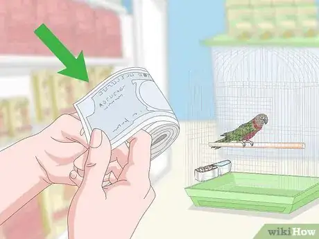 Image titled Know if a Hawk‐Headed Parrot Is Right for You Step 10