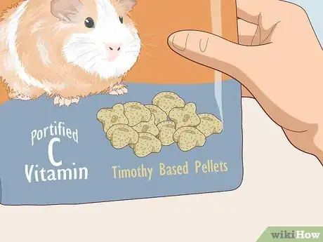 Image titled Choose Guinea Pig Food Step 6