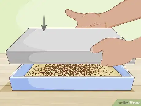 Image titled Grow Arugula Microgreens Step 14