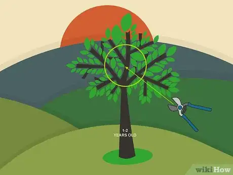 Image titled Prune Walnut Trees Step 01