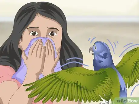 Image titled Keep a Pionus Parrot Entertained Step 10