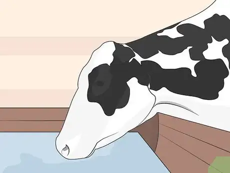 Image titled Treat Bovine Respiratory Disease Step 05